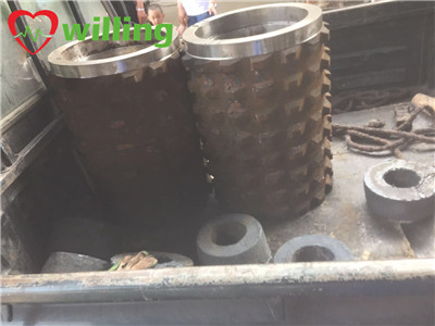 Teeth Roller, Double Roller Crusher Wear Parts